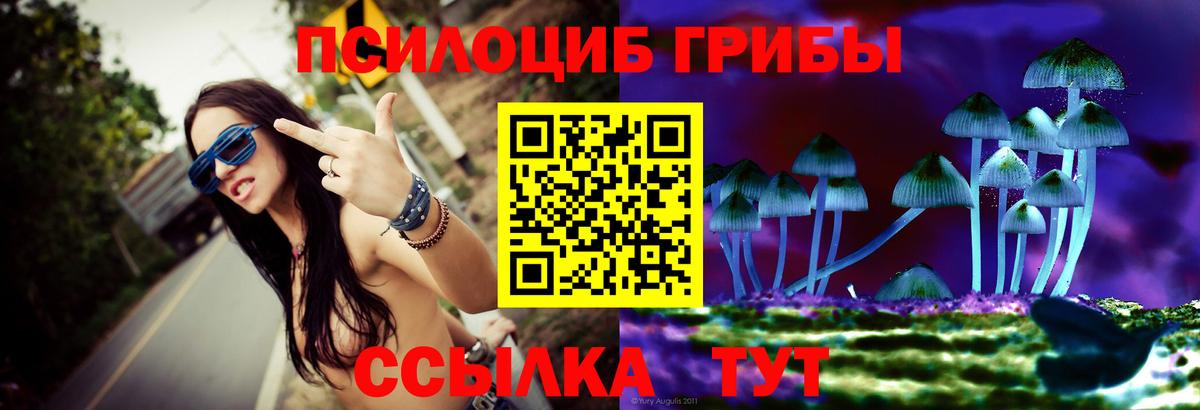 Гай  Галлюциногенные грибы Cubensis  Вход с VPN 